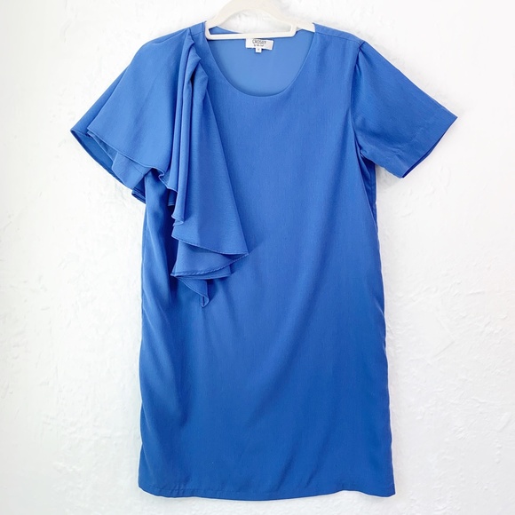 Crosby by Mollie Burch Jeni Ruffle Accent Sleeve Shift Dress Blue Sz M - Picture 2 of 10
